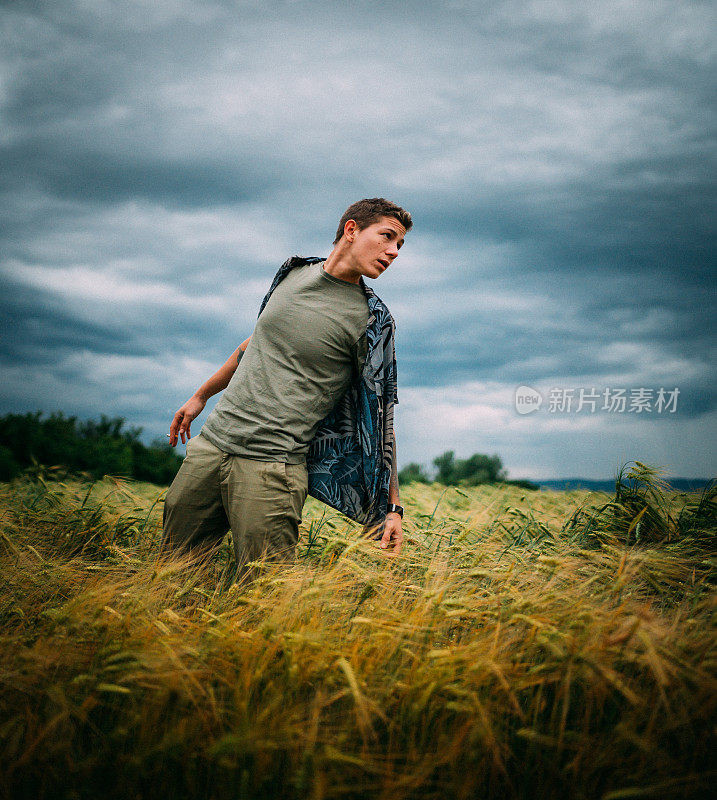 Enjoying freedom on the wheat field